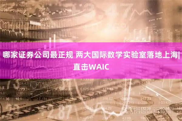 哪家证券公司最正规 两大国际数学实验室落地上海|直击WAIC