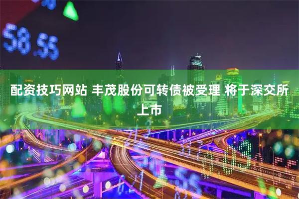 配资技巧网站 丰茂股份可转债被受理 将于深交所上市